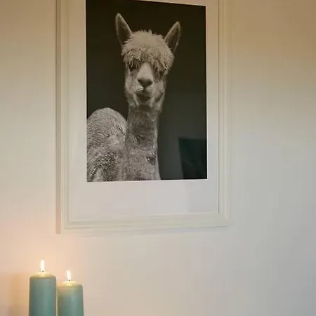 Gaestesuite Am Lindenhof * Bruchhausen