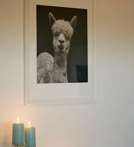 Gaestesuite Am Lindenhof * Bruchhausen (Neuwied)