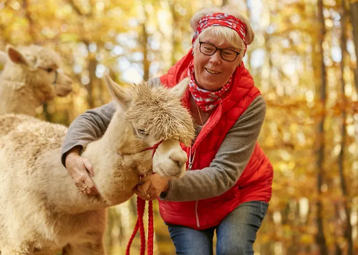 Gaestesuite Am Lindenhof * Bruchhausen (Neuwied)